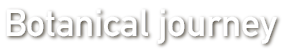 Botanical journey